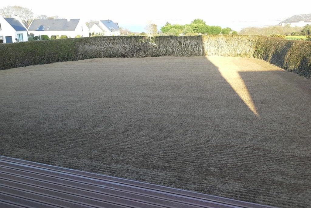 Jouan Paysages Paysagiste A Dinard Img – 21 4