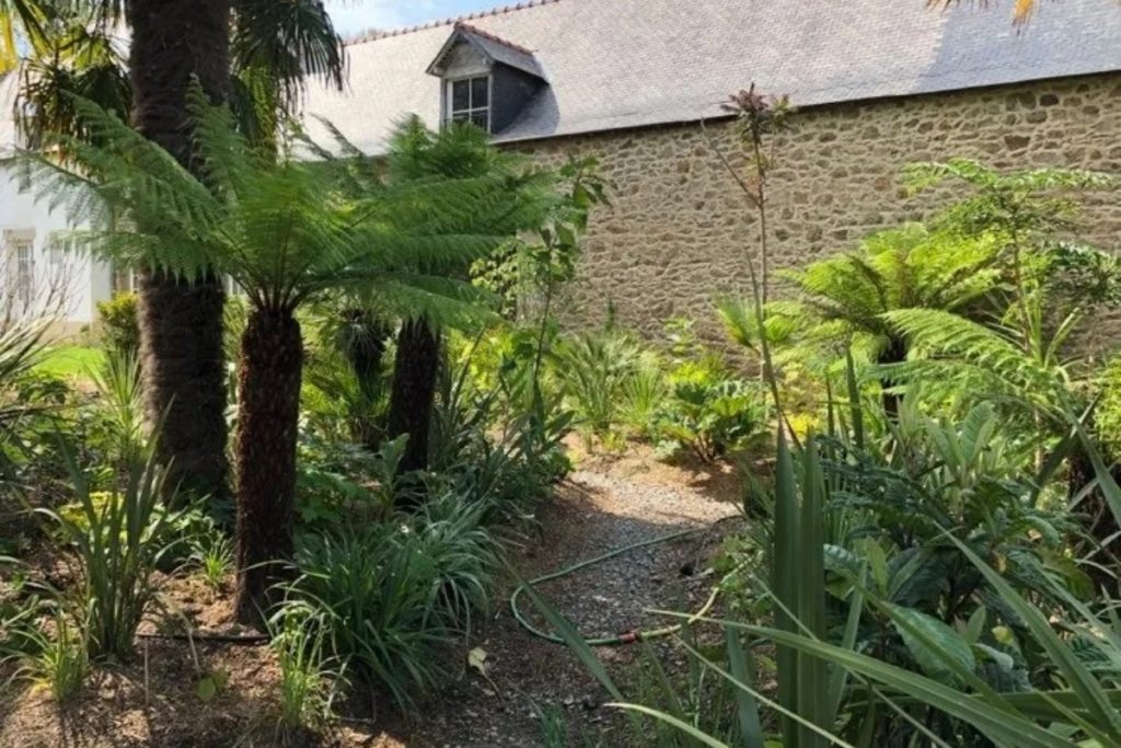Jouan Paysages Paysagiste A Dinard Img – 32 3